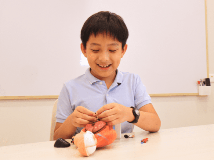 Boy fixing human body parts manipulatives
